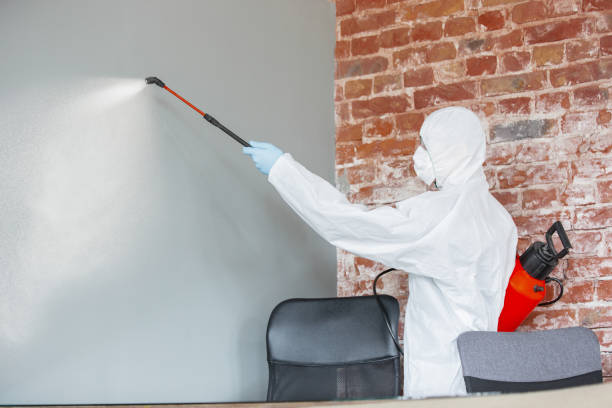 Best Dehumidification Services  in Dovesville, SC